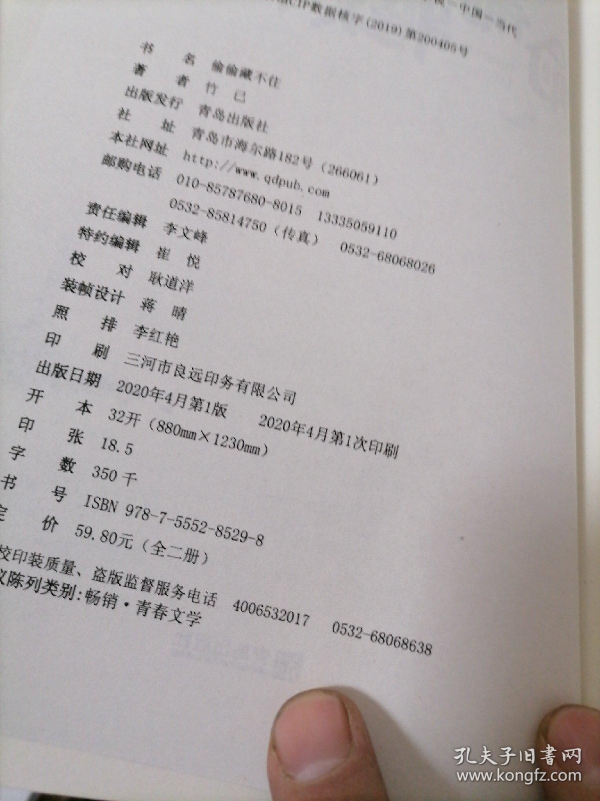 偷偷藏不住(全二册)竹已晋江金榜作品段嘉许vs桑稚【2020年一版一次