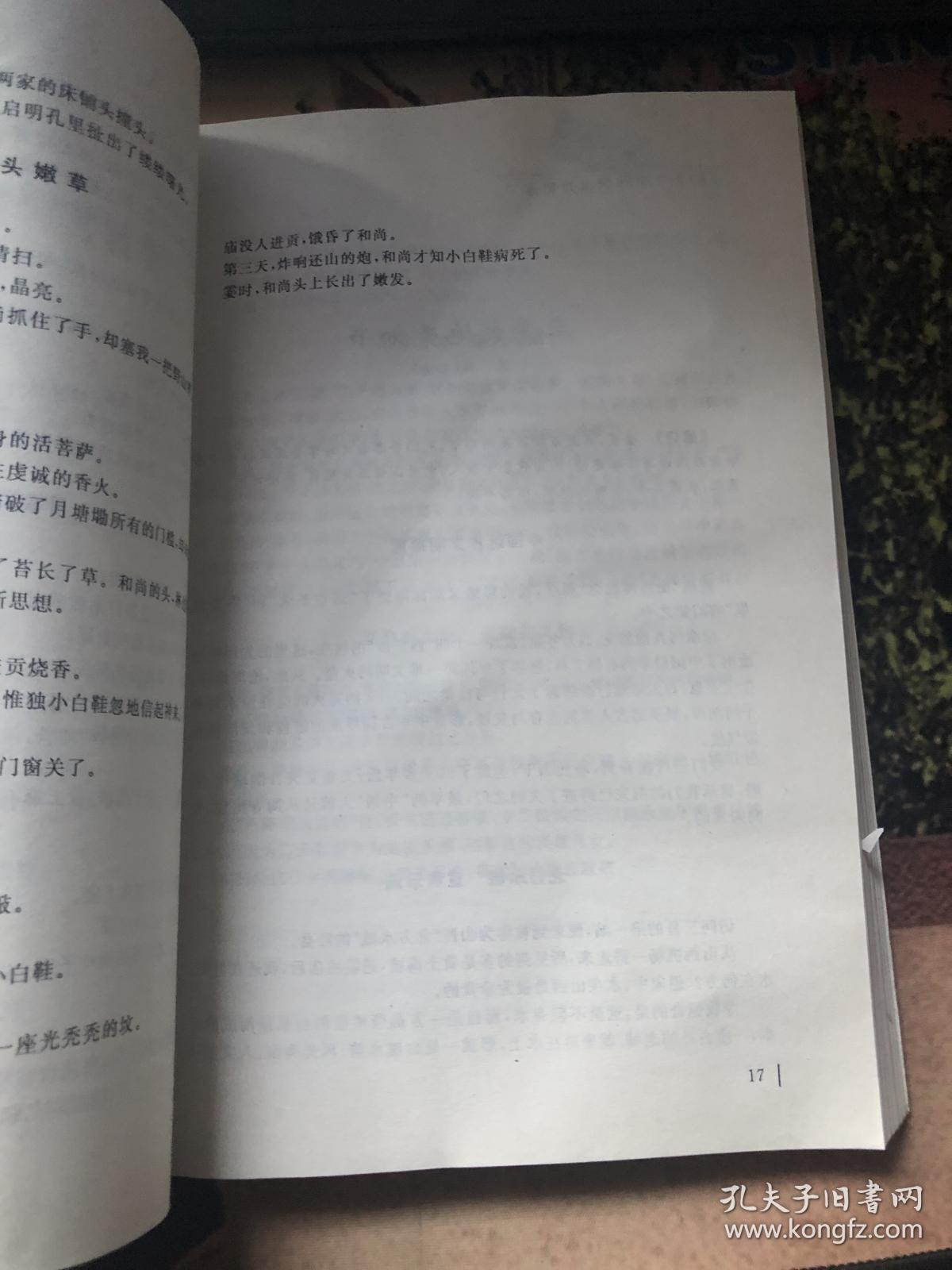 026cb3186a932d4fea_b.jpg