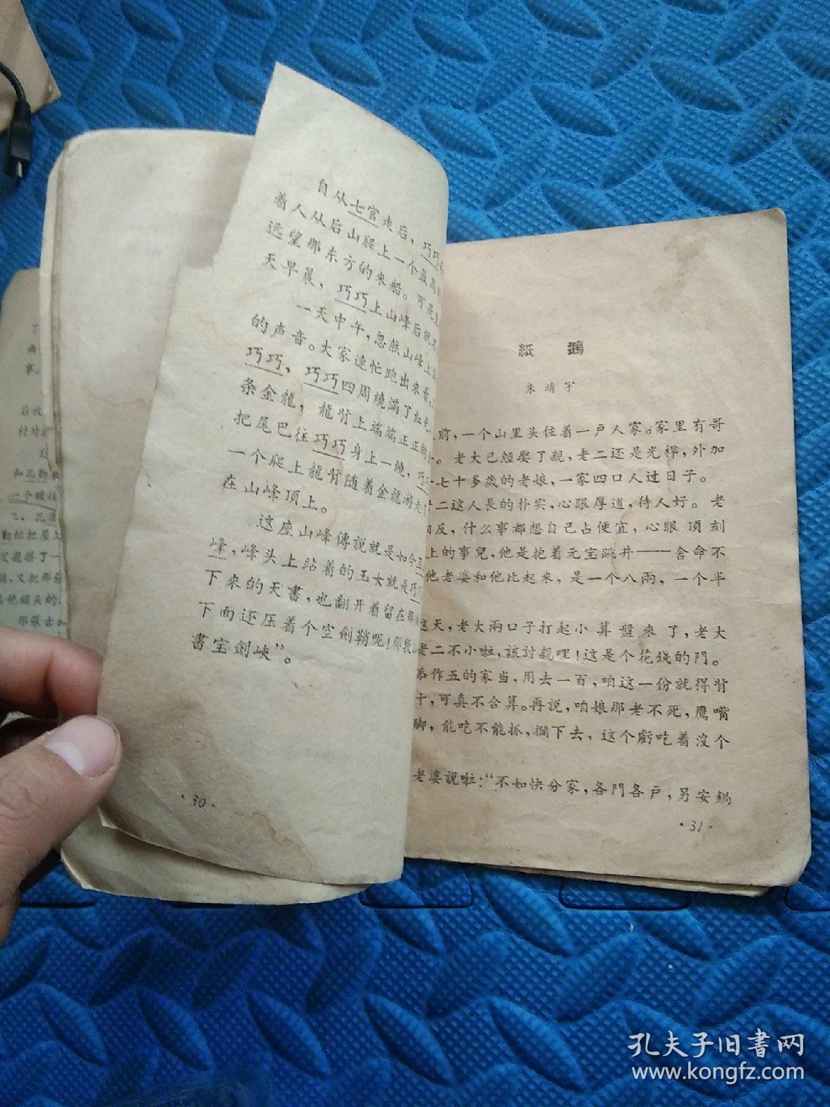 孔雀姑娘葫芦丝曲谱_孔雀简笔画(5)