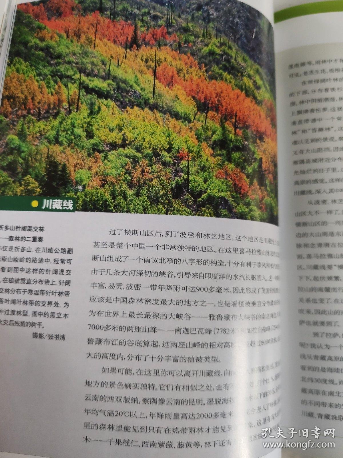 026f0f489aa81be6d7_b.jpg