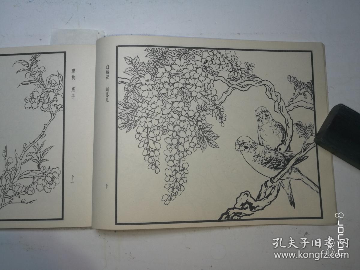 百花鸟曲谱_百花争艳