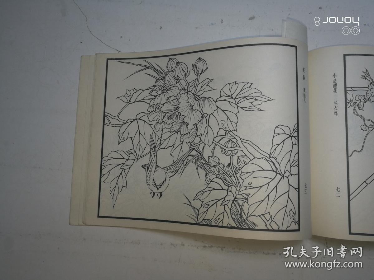 百花鸟曲谱_百花争艳