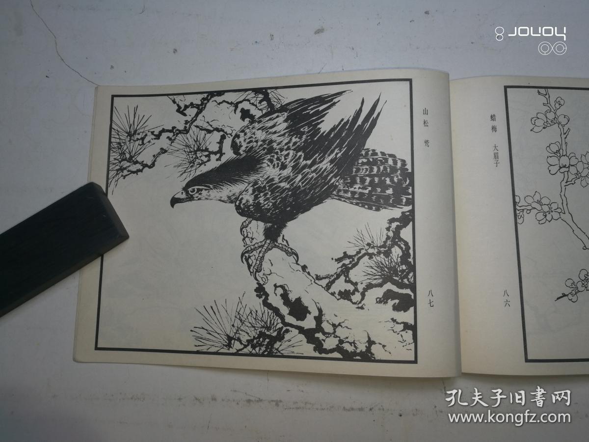 百花鸟曲谱_百花争艳(3)
