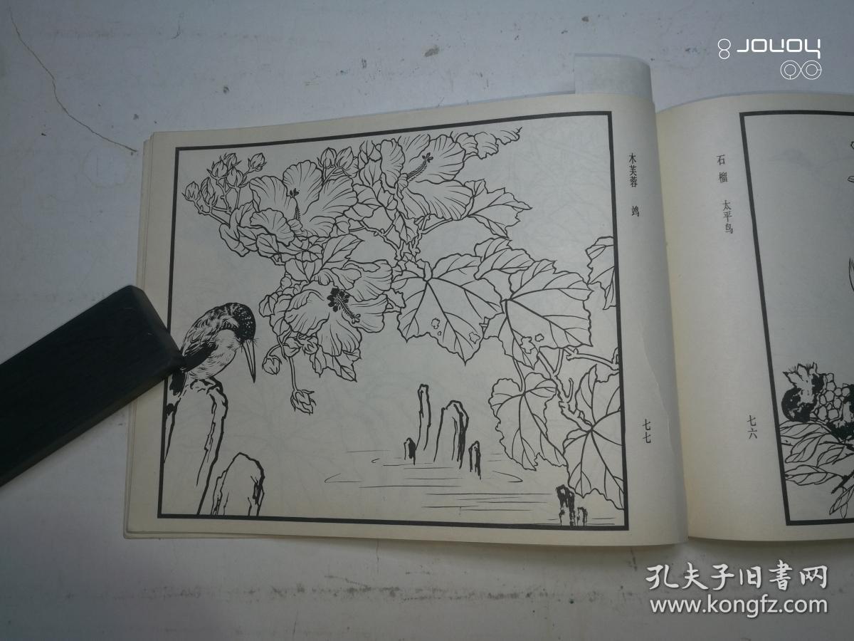 百花鸟曲谱_百花争艳(2)