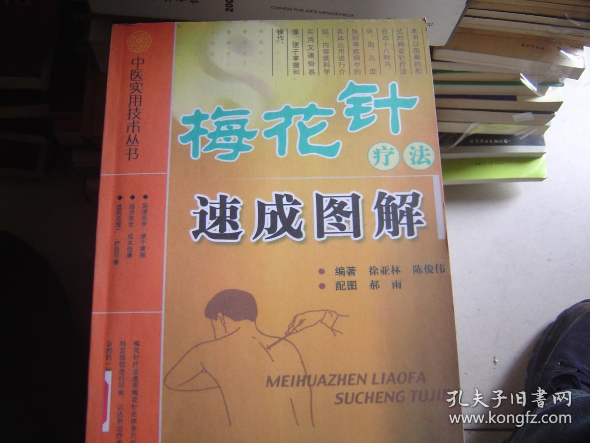 中医实用技术丛书梅花针疗法速成图解