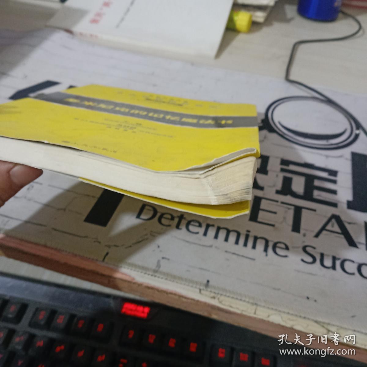 多米尼克的记忆魔法书