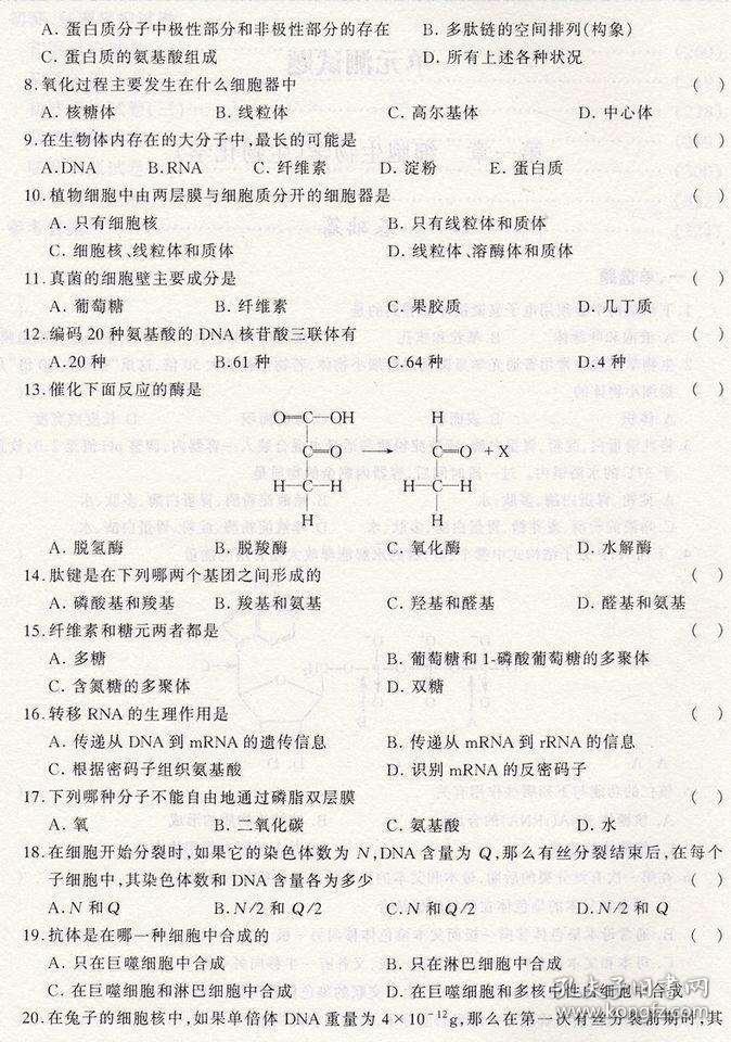 02744949968a9dd202_b.jpg