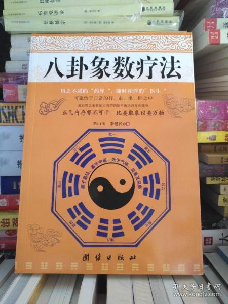 [李山玉 八卦象数疗法催乳] 图书价格_书籍图片_网购评论_孔夫子旧书