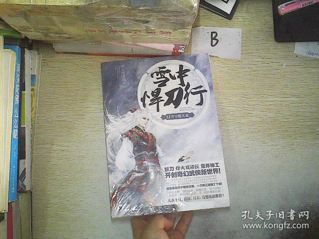 雪中悍刀行13:雪中斩天龙