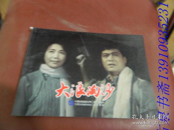 爱国主义教育经典电影系列丛书:大浪淘沙