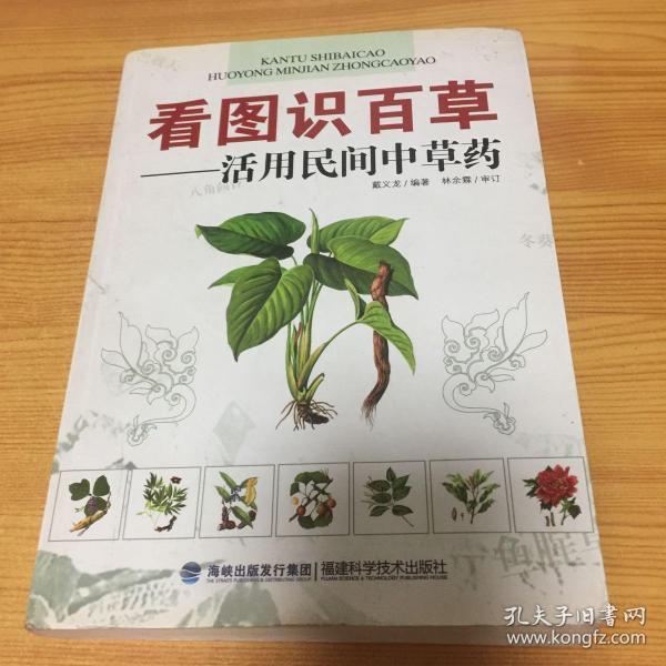 看图识百草:活用民间中草药