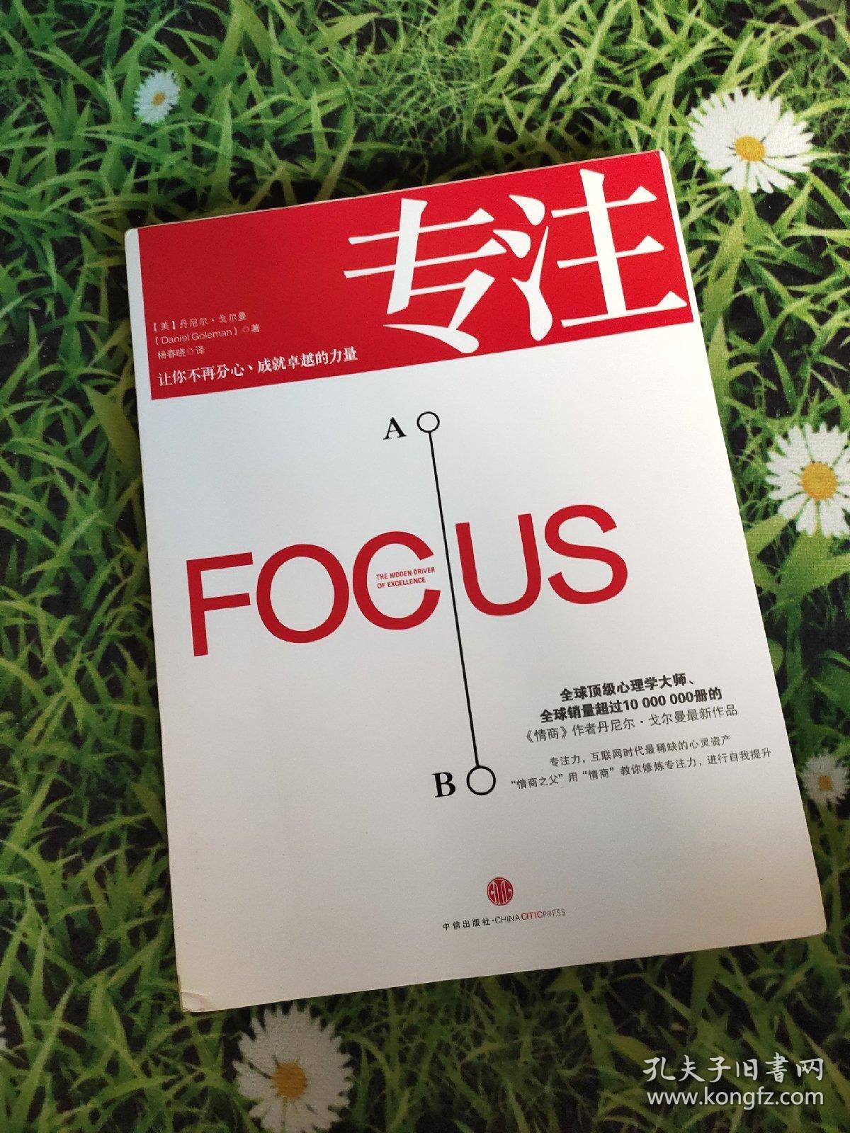 专注:focus: the hidden driver of excellence
