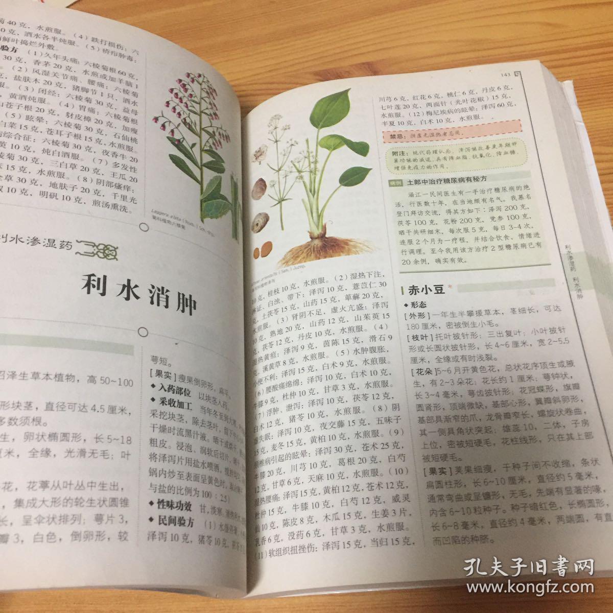 看图识百草:活用民间中草药