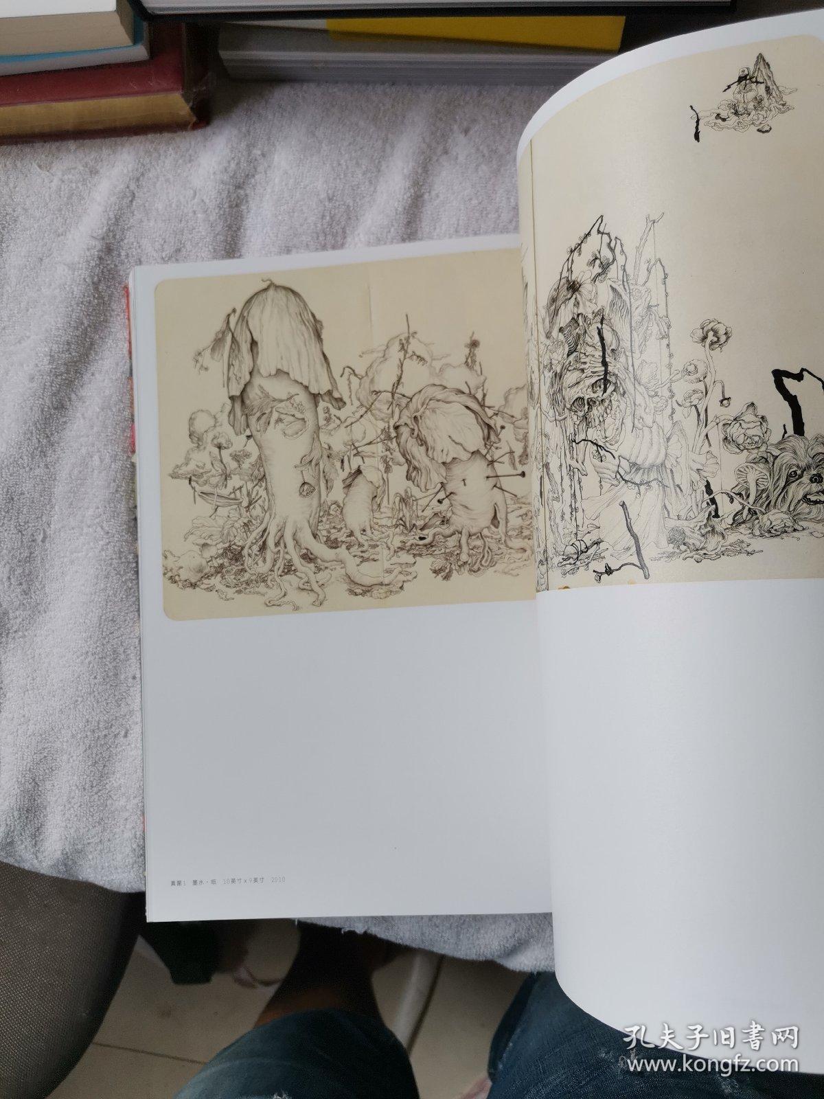 詹姆斯·简的画谜