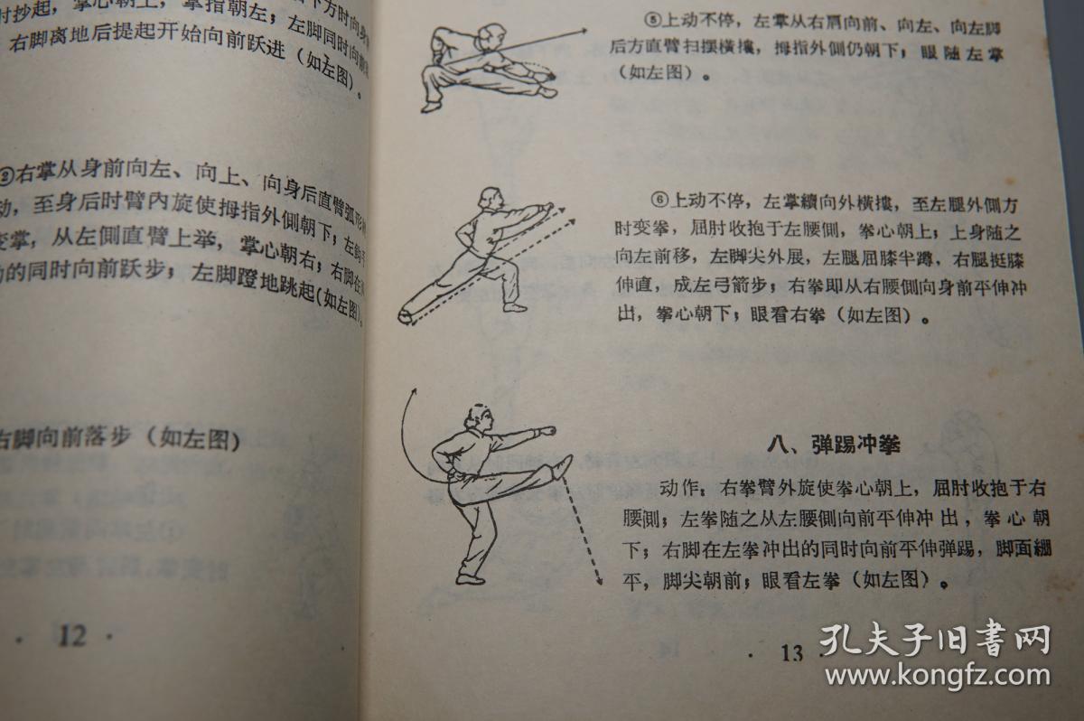 私藏品好[带插图:拳法掌法散手腿法 招式分解步骤 图解:虚部穿手亮