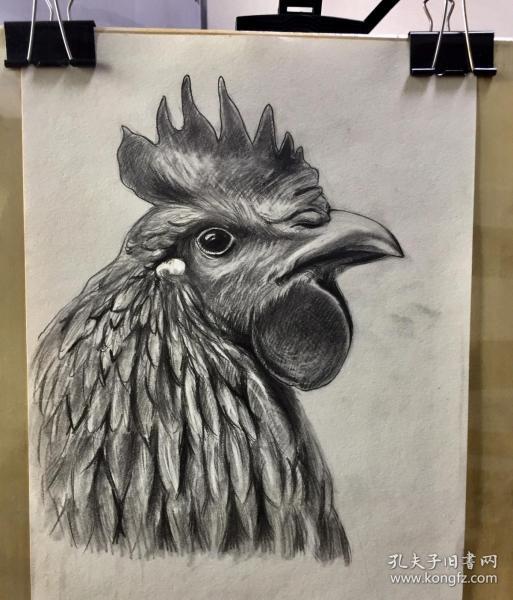 大公鸡素描原画作品