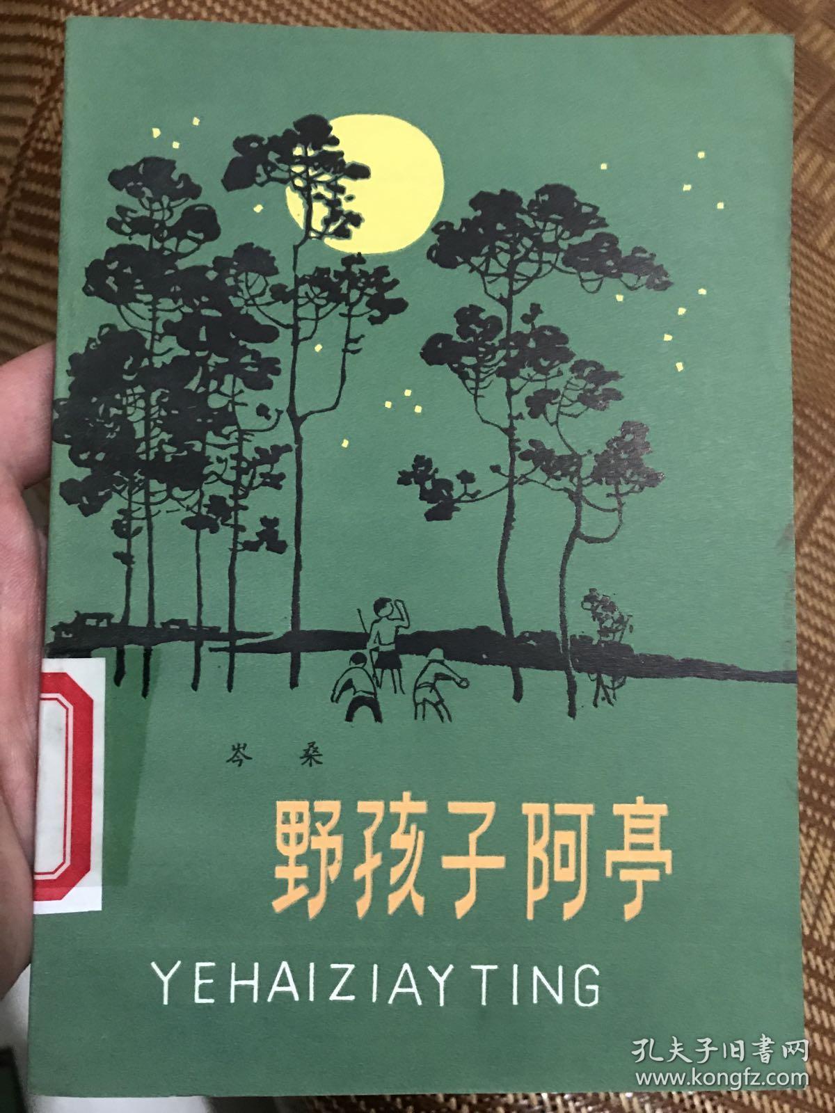 野孩子阿亭