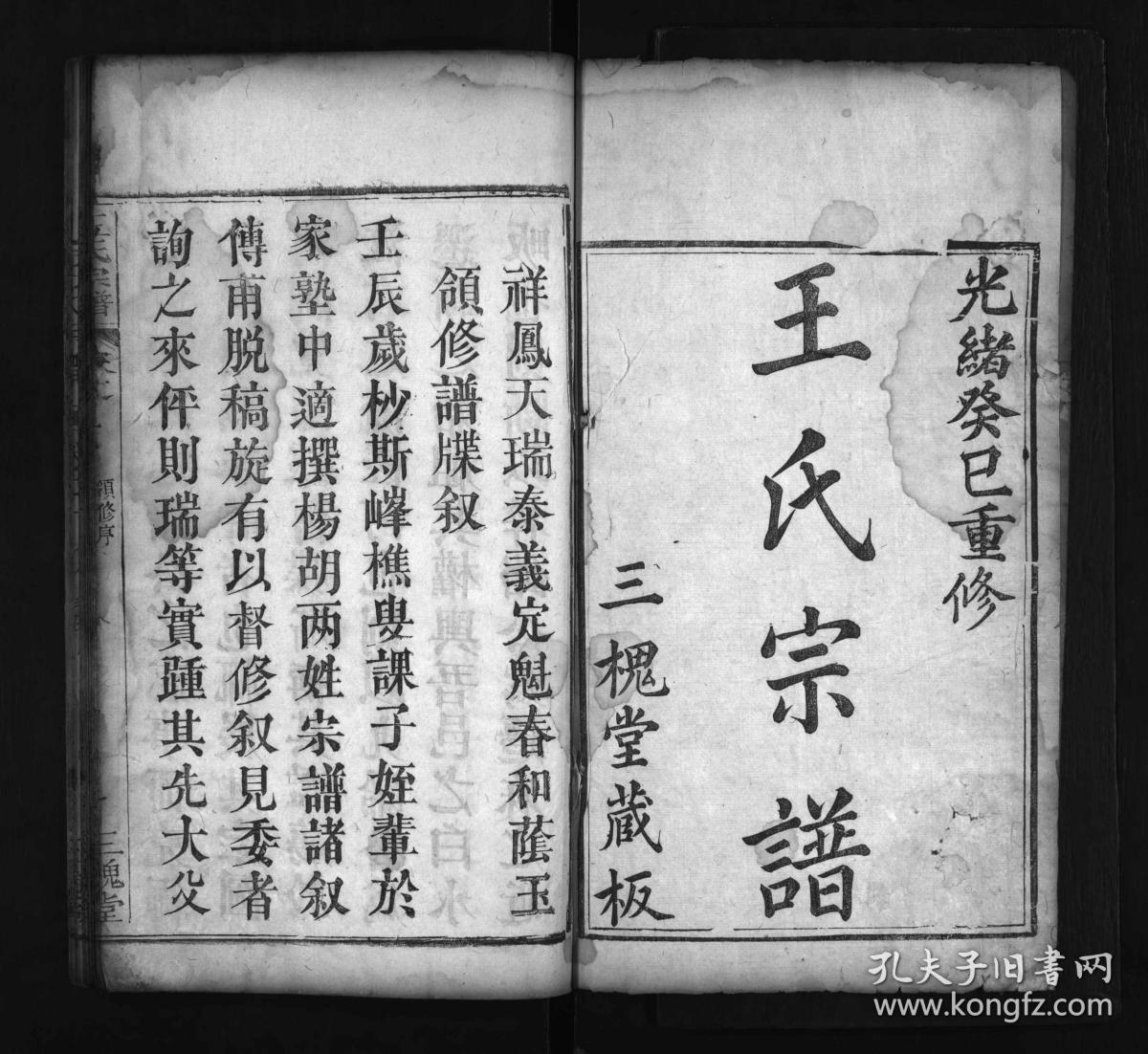 复印件王氏宗谱别名王氏宗谱三槐堂王祥凤王泰义王成淮王植槐王道直王