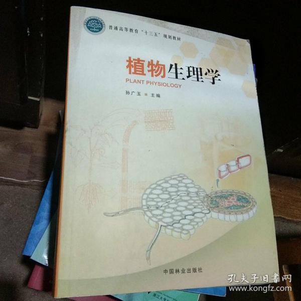 植物生理学_孙广玉 编_孔夫子旧书网