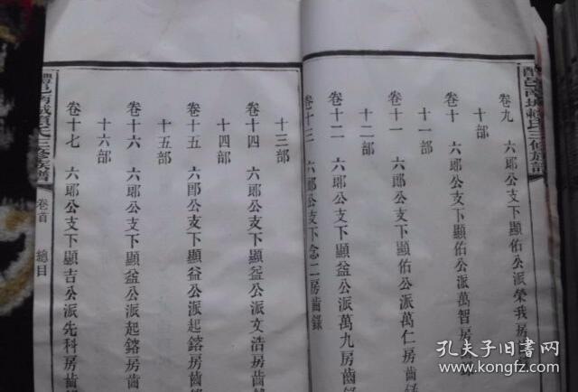 赖氏族谱,民国11年精美印刷,共25本品相完美,本人代友