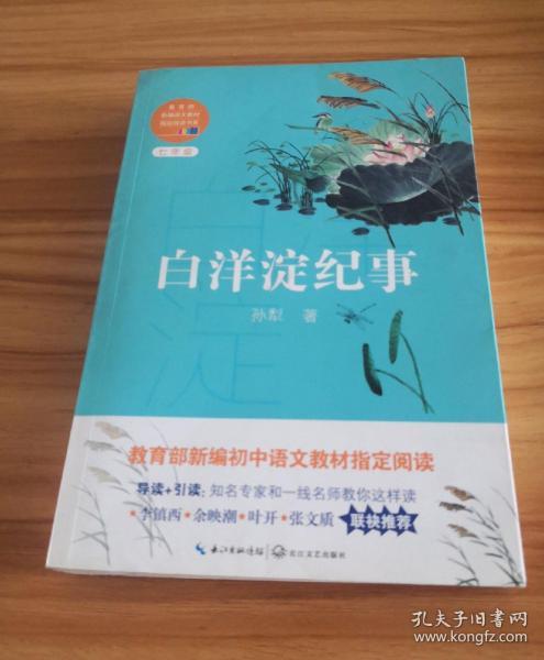 白洋淀纪事(教育部新编语文教材指定阅读书系)