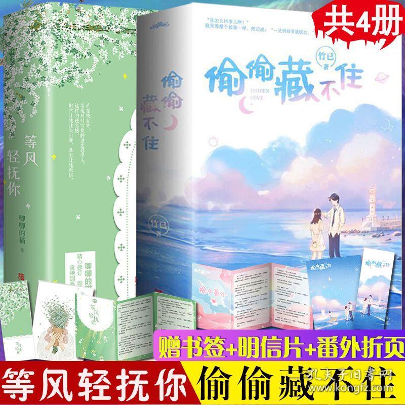 偷偷藏不住小说正版 等风轻抚你共4册唧唧的猫 竹已 实体书晋江校园