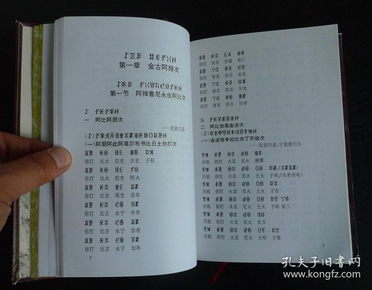 金古忍石家谱四川云南大小凉山地区彝族家谱