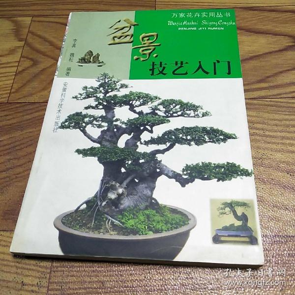 盆景技艺入门