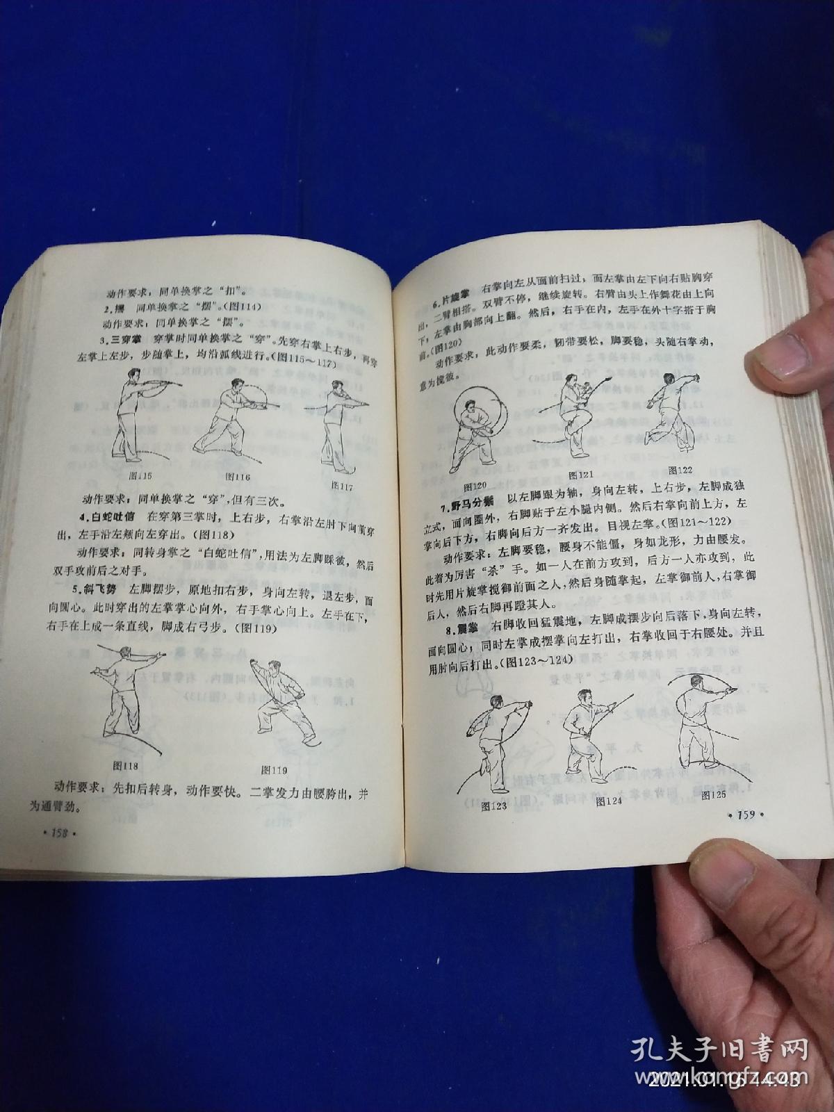 武当武功(武当太极拳,长拳,八极拳,龙化拳,玄真拳,八卦掌歌诀,动作