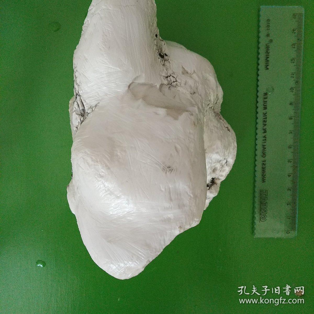 瓷蛋白石