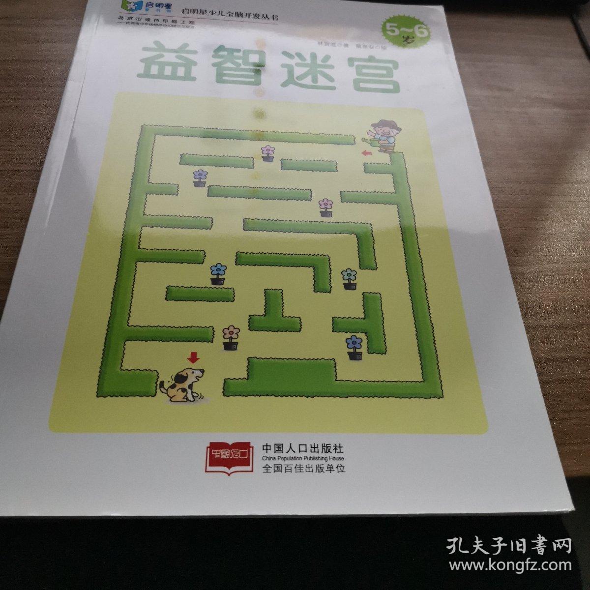 启明星少儿全脑开发丛书:益智迷宫(5～6岁)