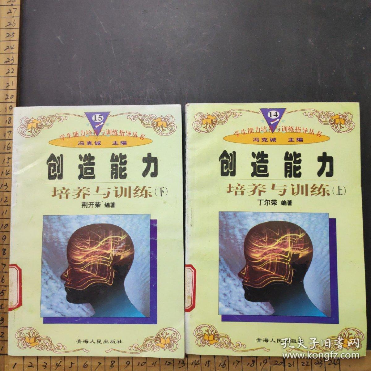 智力技能培养与训练