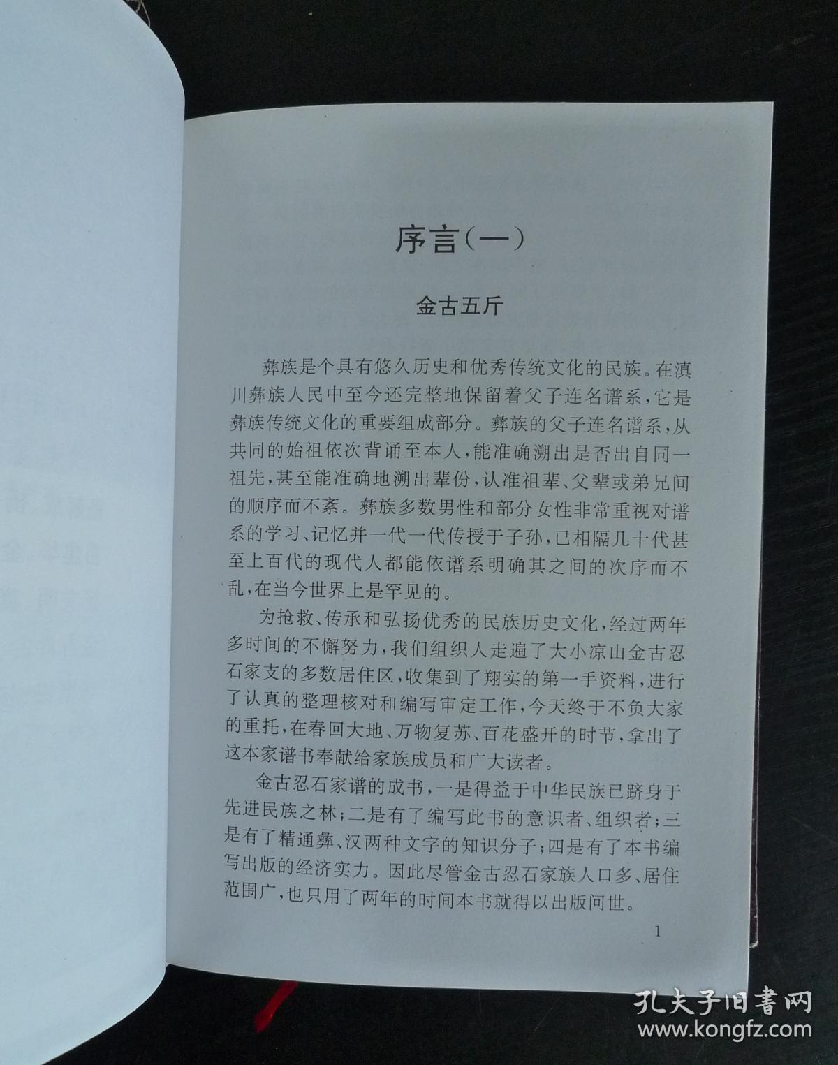 金古忍石家谱(四川,云南 大小凉山地区彝族家谱