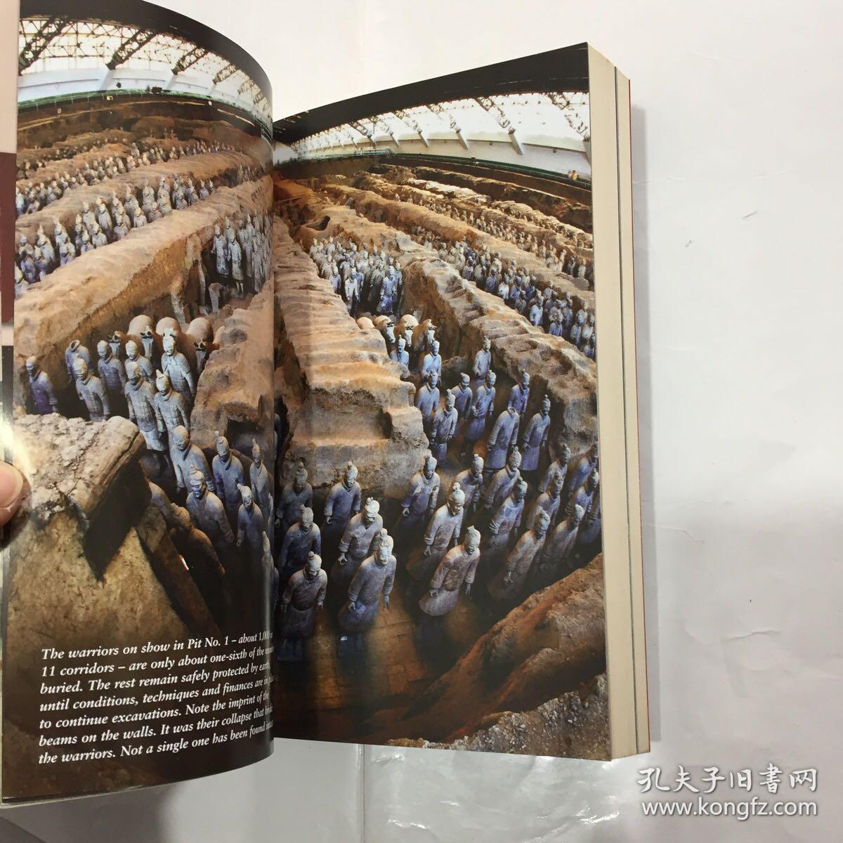 the terracotta army,terracotta army theterracottaarmy兵马俑插图