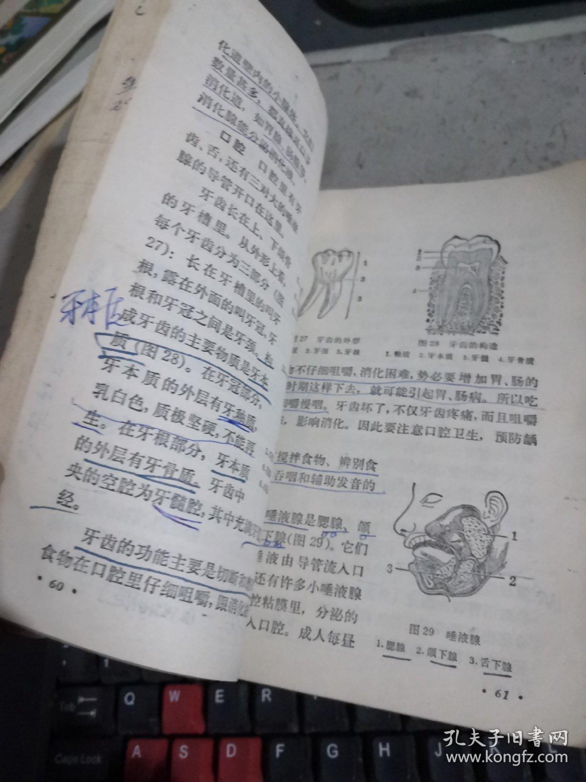 全日制十年制学校初中课本生理卫生全一册