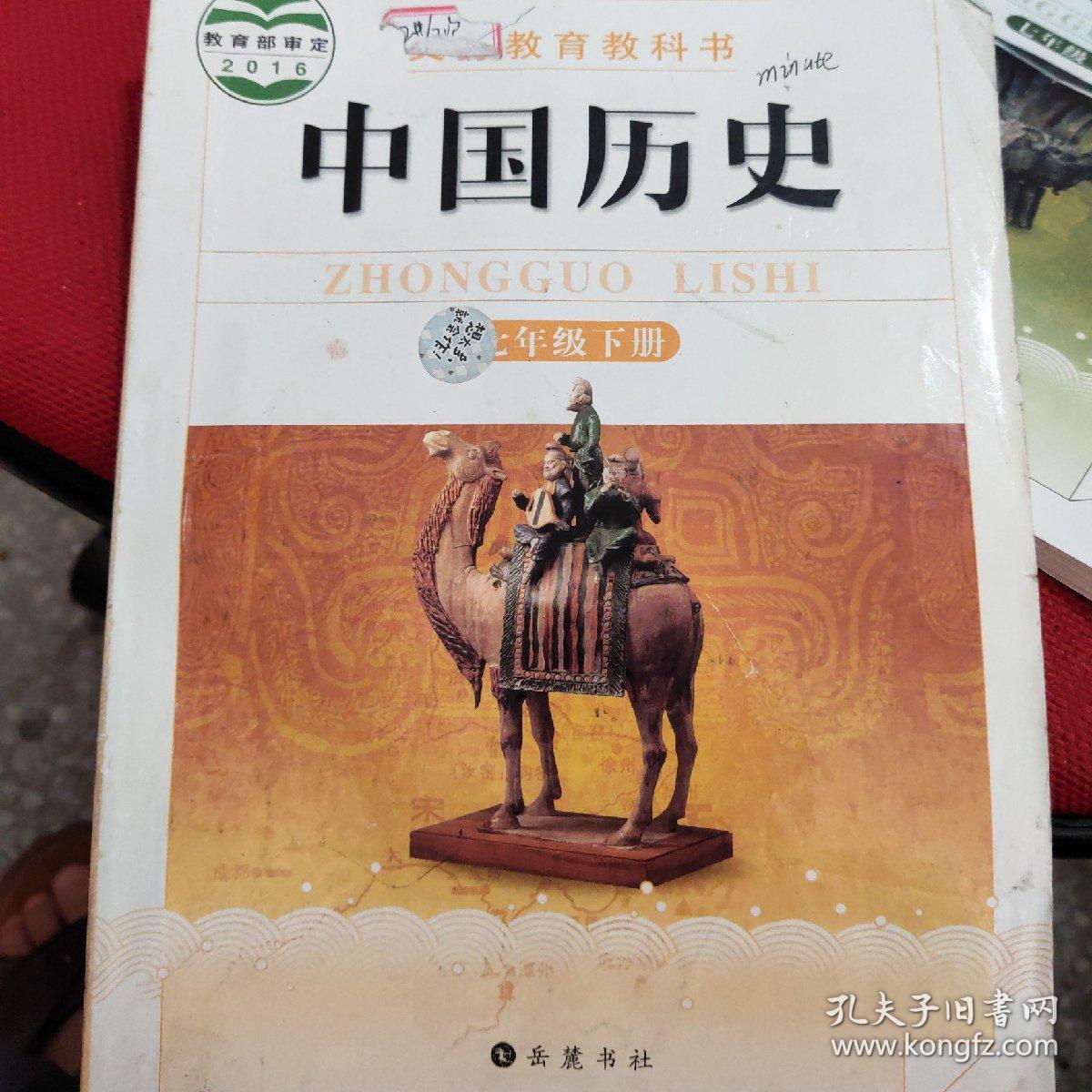 中国历史七年级下册