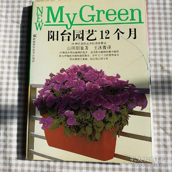 最新上架