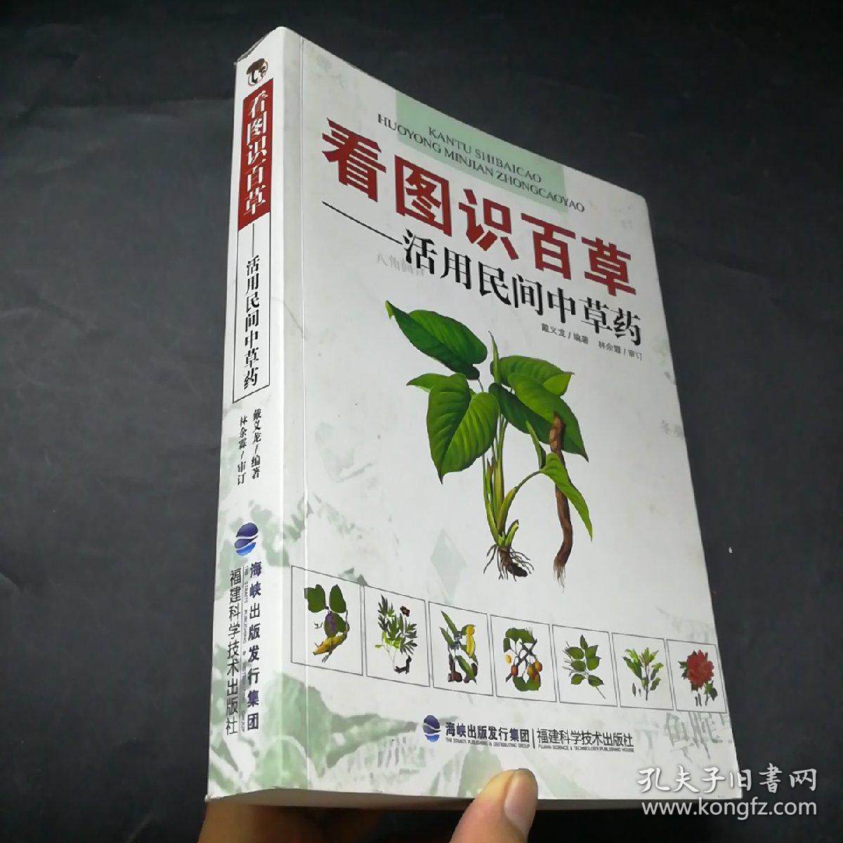看图识百草:活用民间中草药