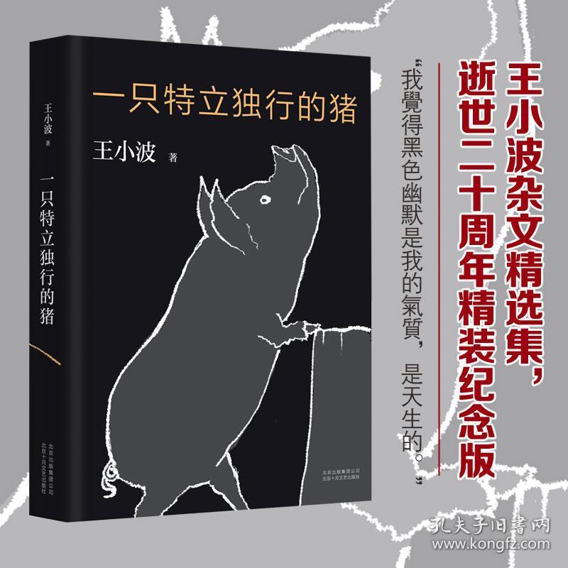 【肖战推荐】正版 一只特立独行的猪王小波逝世十周年
