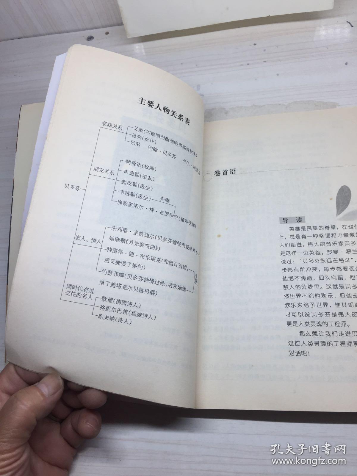 名人传(专家名师解读版)