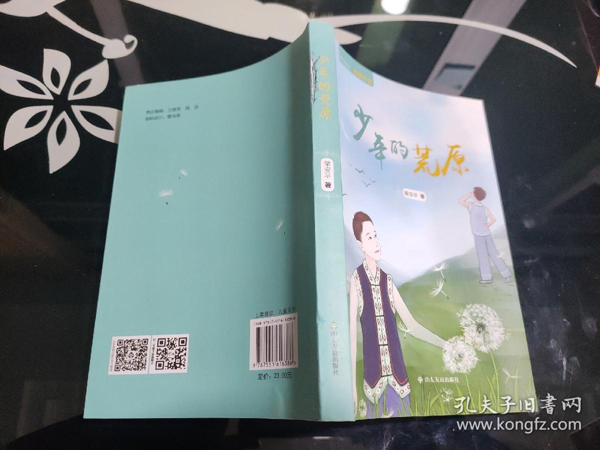 少年的荒原
