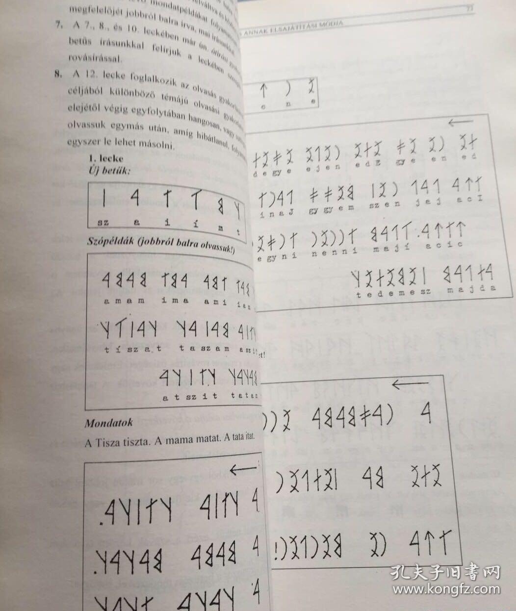 【罕见古代如尼字母研究(古匈牙利语古突厥语曾使用)】a magyar