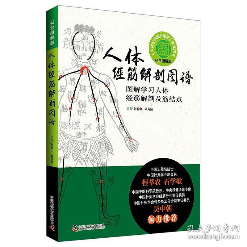 人体经筋解剖图谱图解学习人体经筋解剖及筋结点