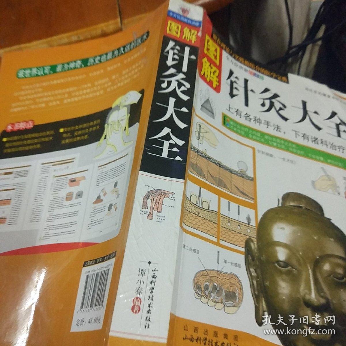 图解针灸大全