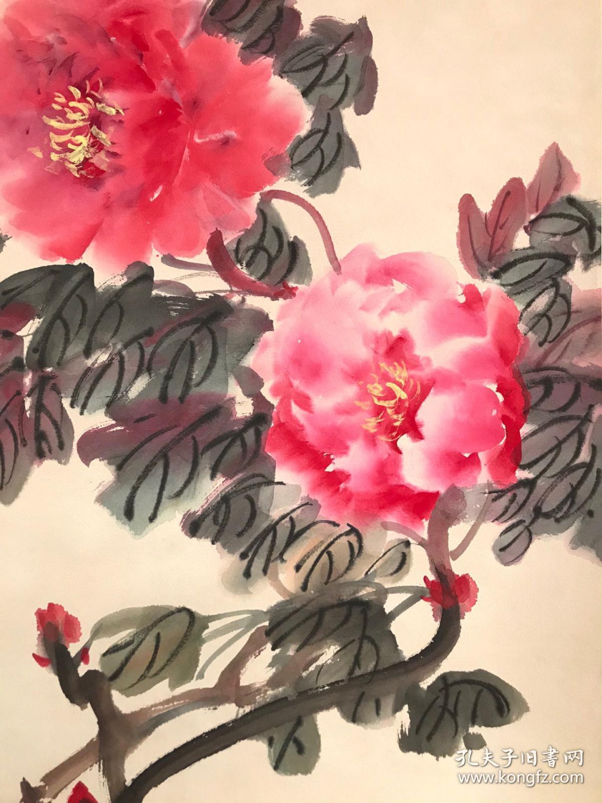 王小古牡丹花