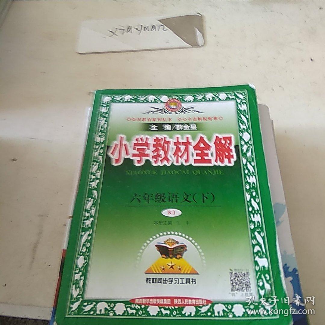 小学教材全解 六年级语文下册