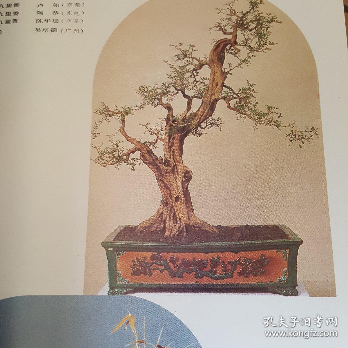 岭南盆景艺术与技法