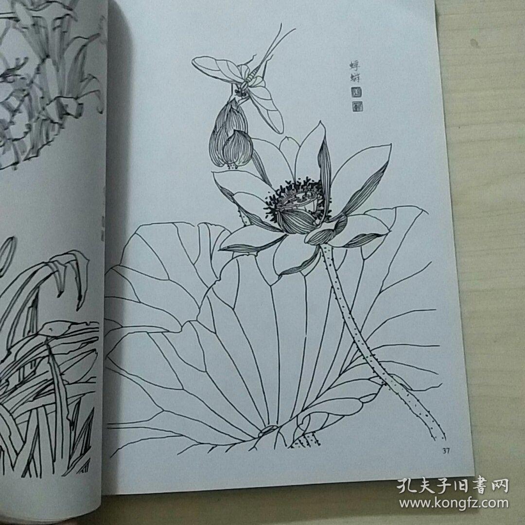 国画花鸟鱼虫白描画谱