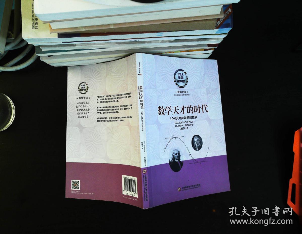 数学天才的时代·10位天才数学家的故事