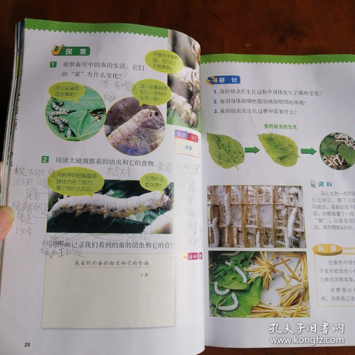 义务教育教科书科学三年级下册